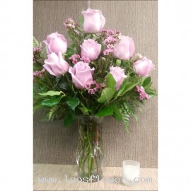 8 Pink Roses
